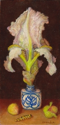 peinture de fleur d iris blanc