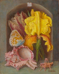Nature morte avec iris, coquillage et papillon