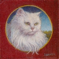 portrait miniature d'un chat blanc