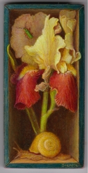 Peinture trompe l'oeil d'un iris et d'un escargot dans une boite
