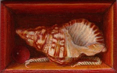 Peinture miniature en trompe l'oeil d'une boite contenant un coquillage-murex