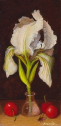 Peinture d'un iris blanc et trois cerises