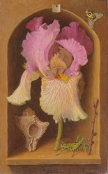 nature morte avec iris, criquet et coquillage dans une niche