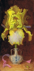 Iris dans un flacon entour par un ruban rose