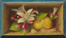 Peinture miniature en trompe l'oeil d'un escargot et de fleurs de citronnier